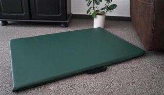 Hundematte beidseitig Kunstleder Schaumstoff Höhe 3 cm grün 65 cm X 50 cm