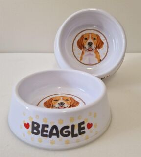 Beagle