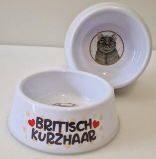 Britisch Kurzhaar