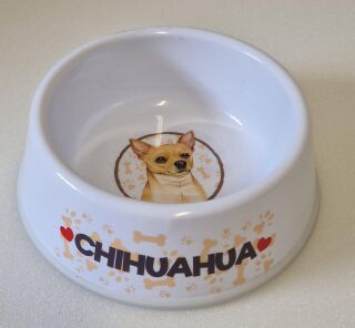 Chihuahua