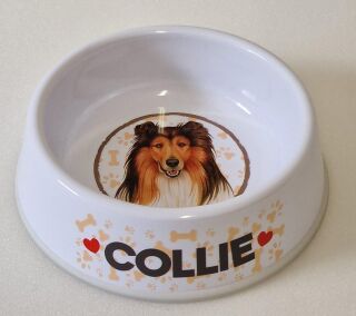 Collie