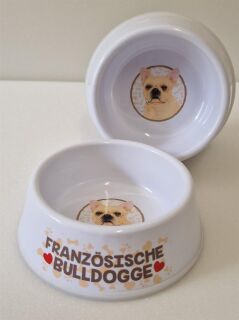 Französische Bulldogge braun