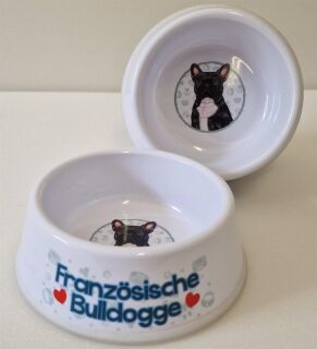 Französische Bulldogge schwarz