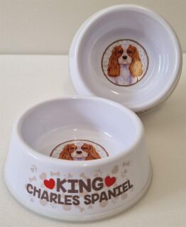 King Charles Spaniel