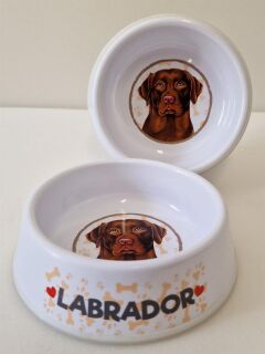 Labrador braun