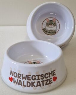 Norwegische Waldkatze